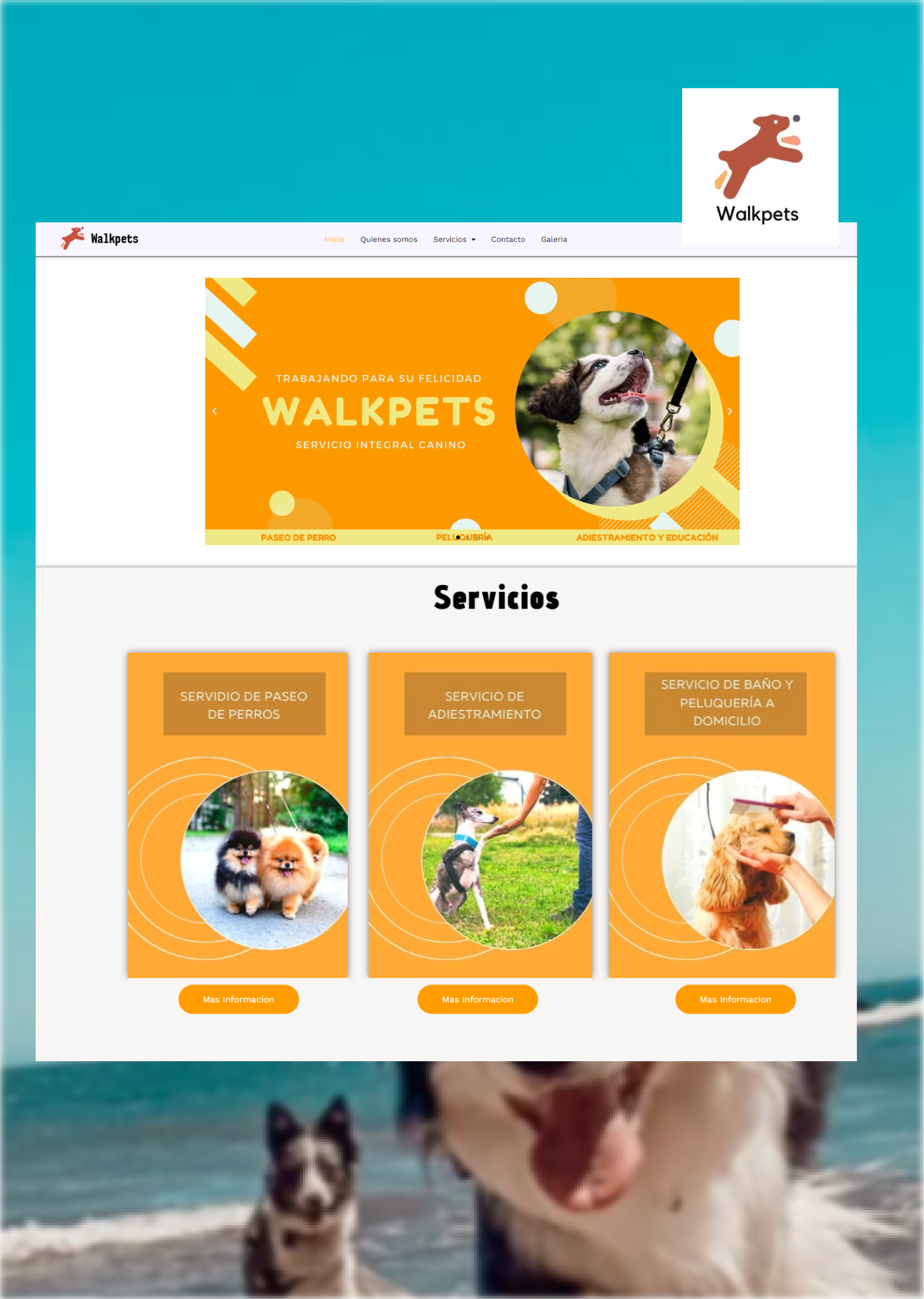 Portafolio - Portada_Walkpets