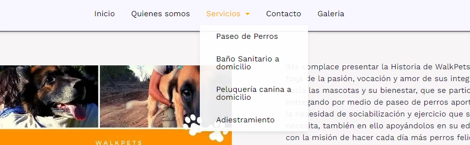 Walkpets_Servico 2